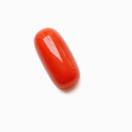 Red Coral ( Moonga ) 3.50 to 5.50 carats
