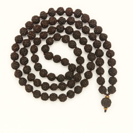 5 Mukhi Rudraksha (Panchmukhi)
