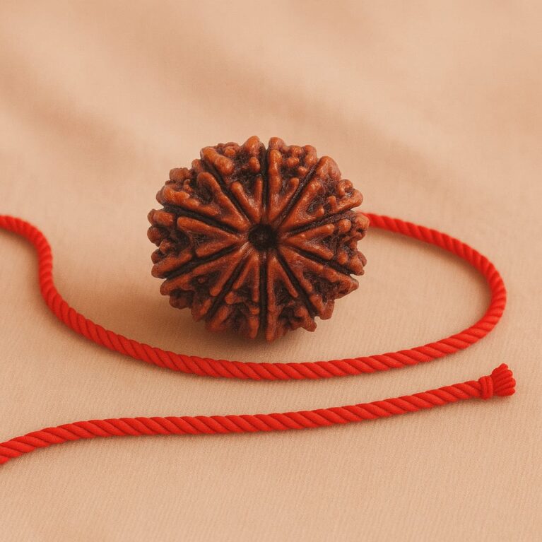 10 Mukhi Rudraksha