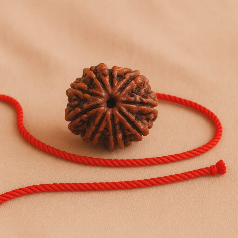 9 Mukhi Rudraksha