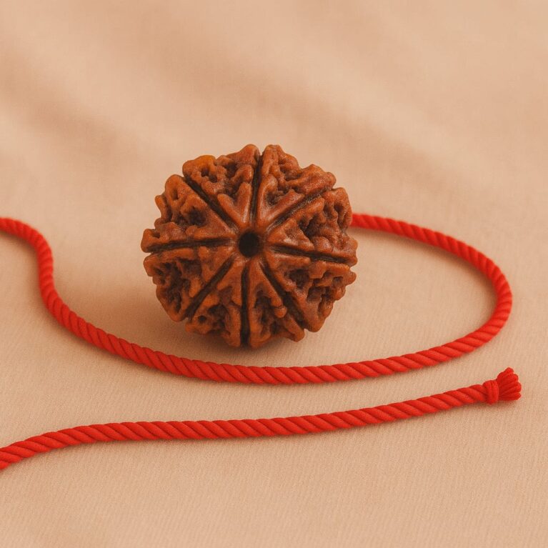 8 Mukhi Rudraksha