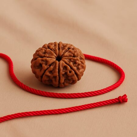 7 Mukhi Rudraksha