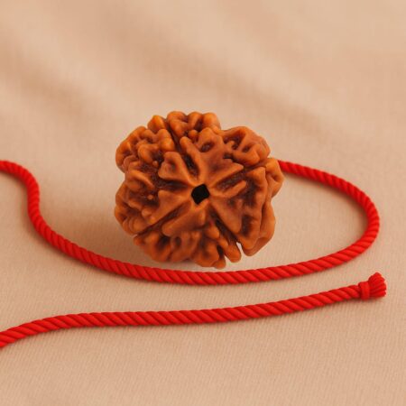 4 Mukhi Rudraksha