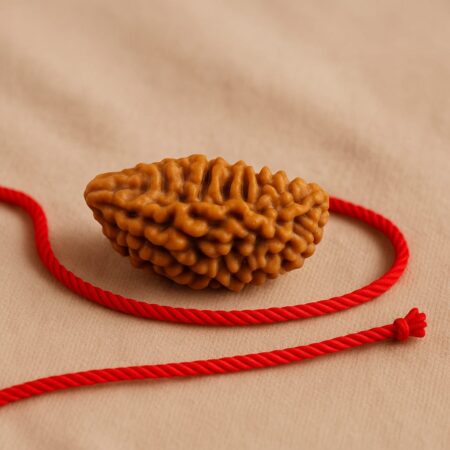 1 Mukhi Rudraksha